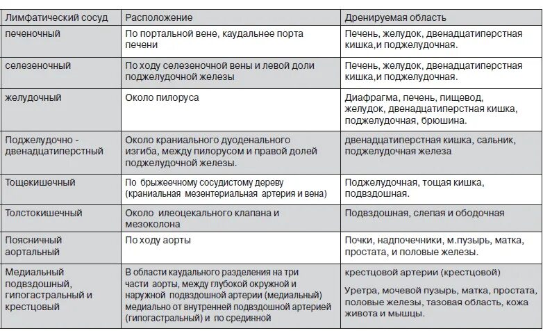 Расположение основных лимфатических узлов таблица. Таблица региональные группы лимфатических узлов. Сравнительная таблица региональные группы лимфатических узлов. Лимфатическая система таблица лимфатические узлы. Лимфатические узлы таблица