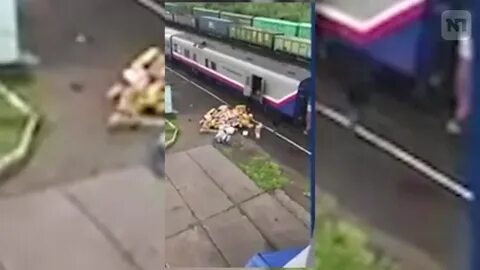 Новости о коте твиксе