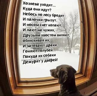Хозяин уходит