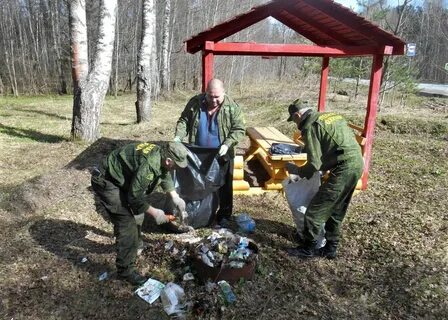 Волжское участковое лесничество