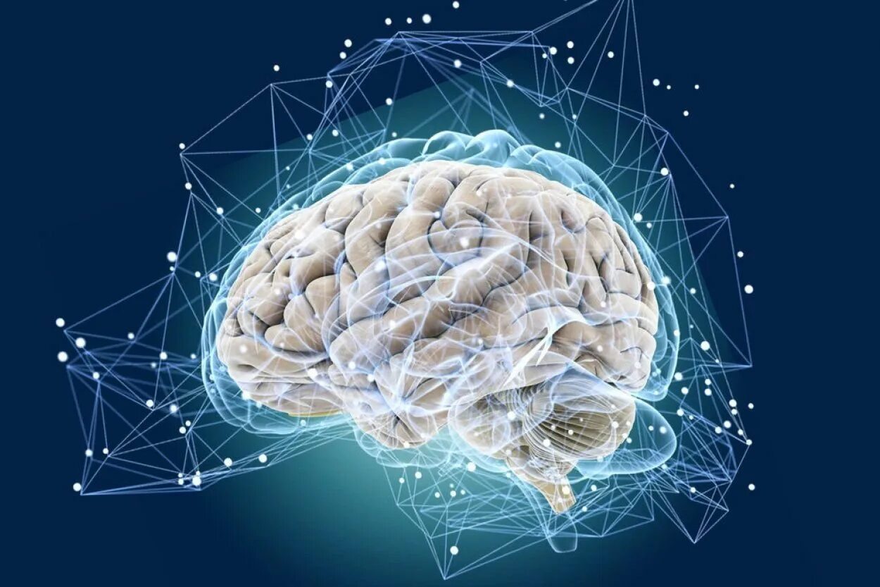 Мозг картинки для презентации. Нервная система. Красивый мозг. Головной мозг. Мозг и нервная система человека.