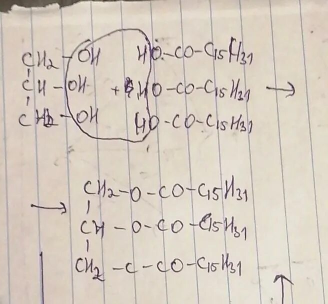 Гидролиз трипальмитата. Глицерин и пальмитиновая кислота реакция. Трипальмитат структурная формула. Формула трипальмитата глицерина. Реакция этерификации пальмитиновой кислоты.