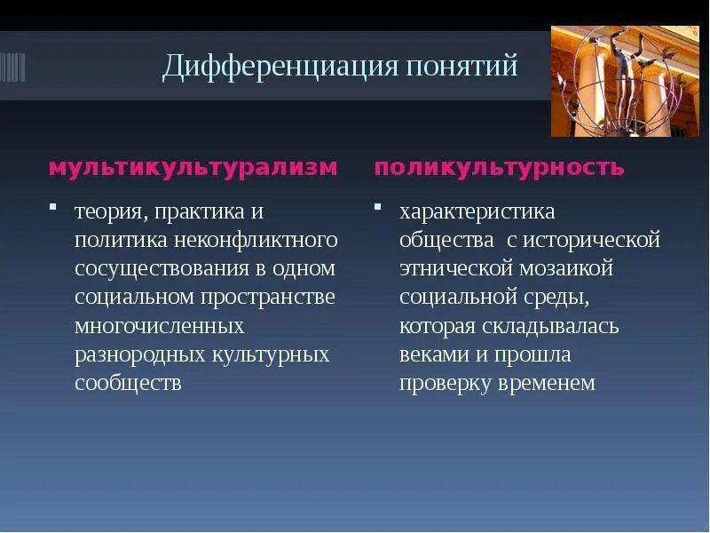 Какие есть плюсы культурного многообразия одной страны. Дифференциация понятий это. Понятие мультикультурализма. Концепция дифференциации. Мультикультурализм политика.