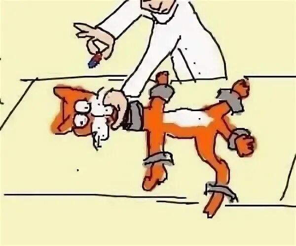 Как он совал