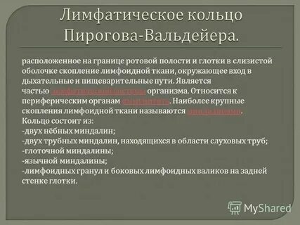 Лимфоидное кольцо