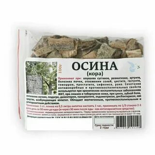 Осина польза для организма отзывы