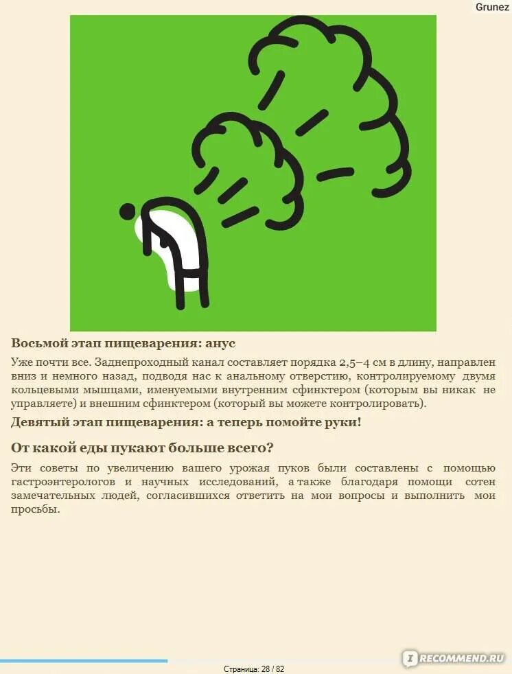 Почему часто выходят газы. Частое газообразование. Каким газом пукает человек. Почему пахнет Пуканье у взрослого.