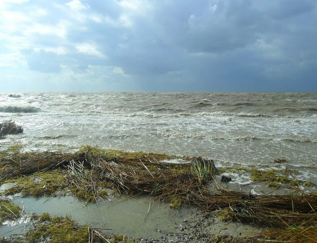 Буря на Азовском море. Азовское море после ветра. Западный ветер на Должанской. Западный ветер в Темрюке.
