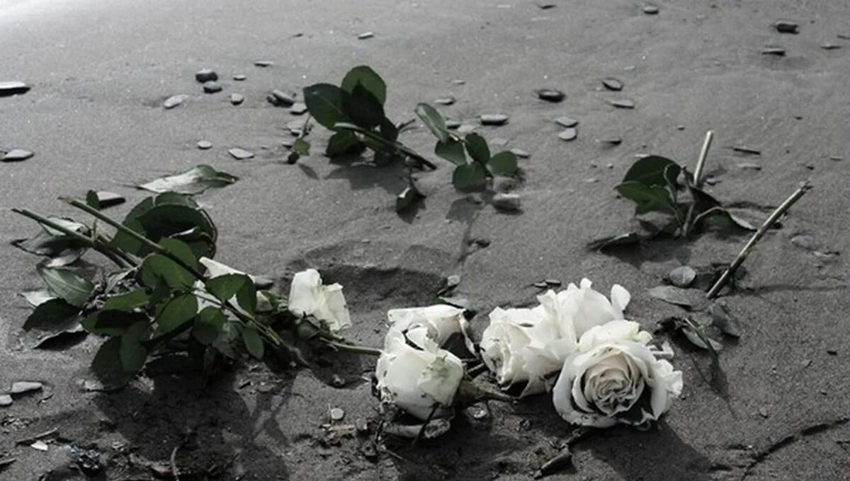 Разбитые цветы. Выброшенные розы. Брошенные цветы. Разбросанные цветы. Цветок разбитое.