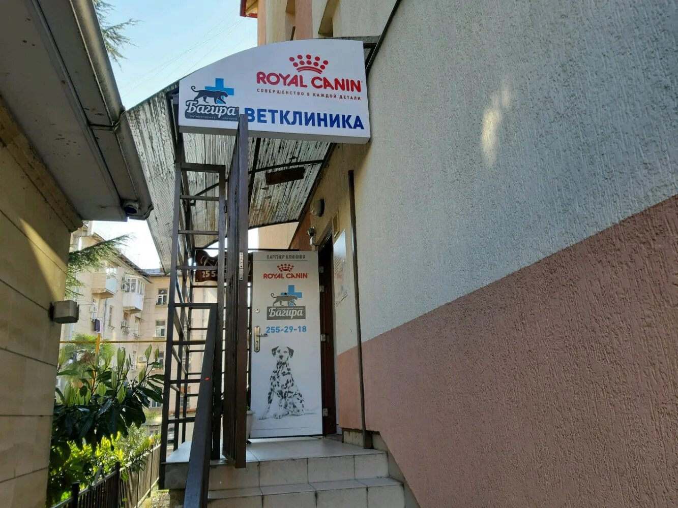 ветклиника багира. номер ветлечебницы в кашире 2. багира таганрог ветклиника. багира таганрог ветклиника. ветеринарная клиника багира астрахань.