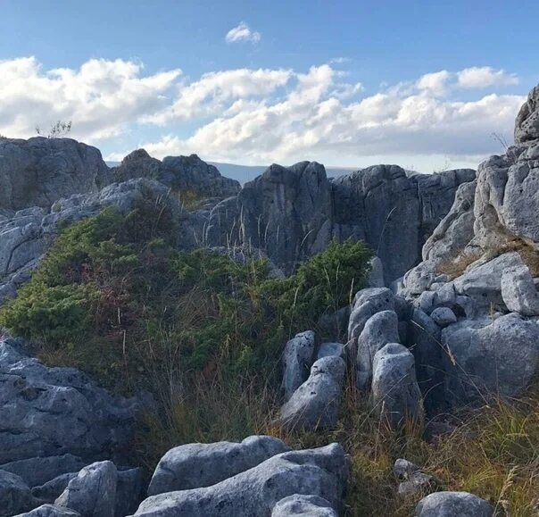 Во время недавнего похода на хребет Каменное море нам довелось встретиться с мил