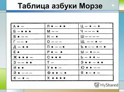 Морзянка хомяк 5 июля