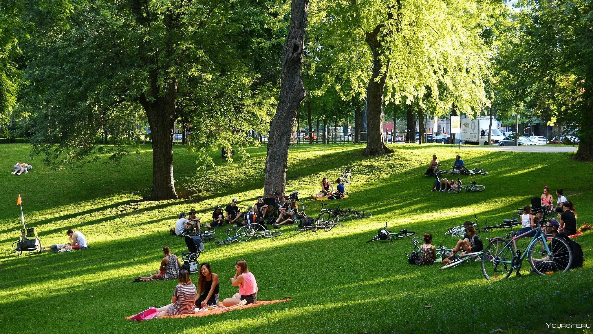 Lot of people in the park. Лето в парке. Летний парк. Люди в парке. Парк с людьми.