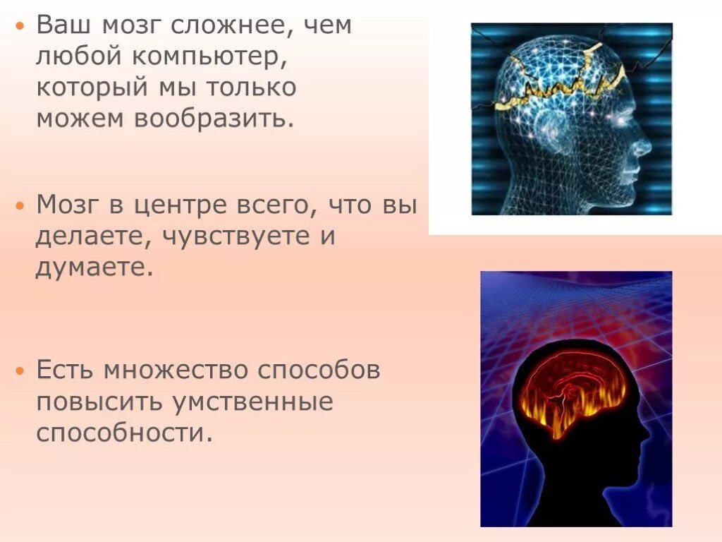 Загадки человеческого мозга. Презентация на тему головной мозг. Интересное про мозг. Интересные факты о мозге.