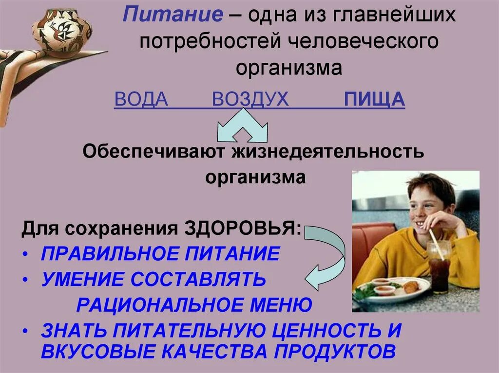 Потребность в воздухе воде пище. Общие сведения о питании. Общие сведения о питании и приготовлении пищи. Потребность в пище и воде. Потребности пища вода воздух.