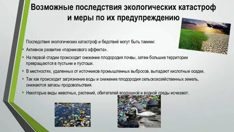 Экологическая система экологическая катастрофа