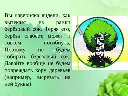 Проект по окружающему миру 4 класс охрана природы в нашем крае