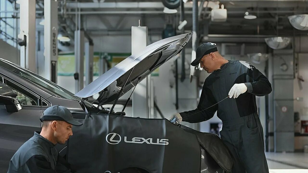 Сервис lexus. Lexus service. Car service Lexus.