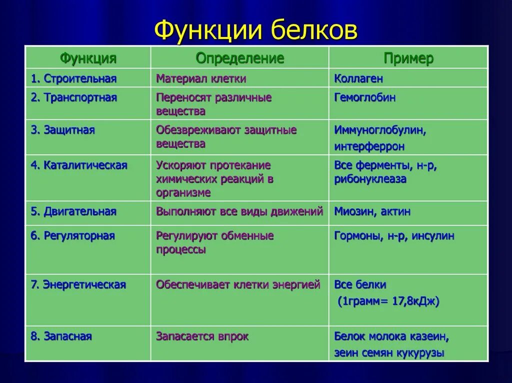 Выполняет функцию мономеры белков. Функции белков с расшифровкой. Функции белков с примерами. Перечислите функции белков. Функции белков биология 8 класс.