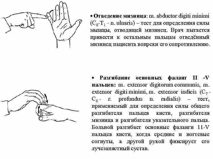 Отведение и противопоставление большого пальца. Запястно-пястный сустав большого пальца кисти движение. Девиация пальцев кисти. Отведение пальцев кисти. Отведение мизинца.