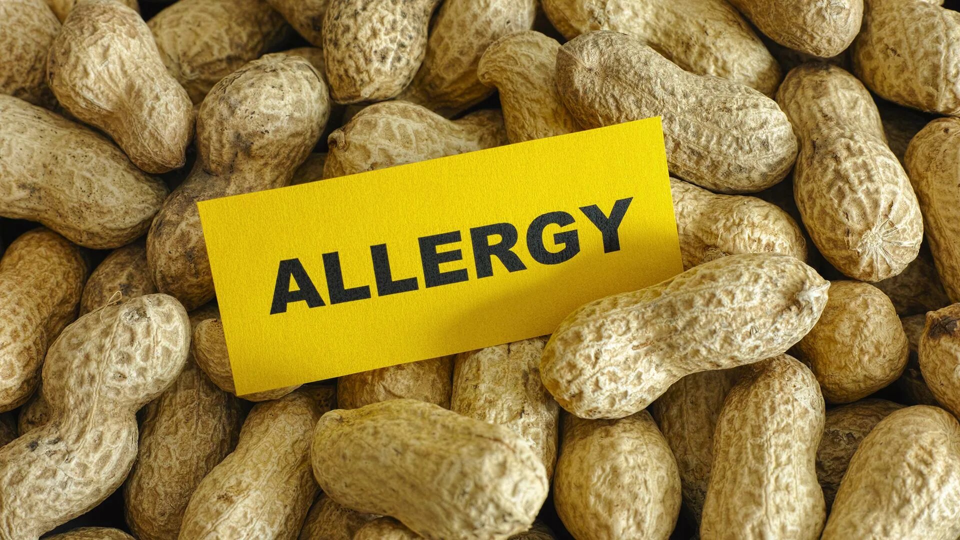 British Scientists Develop New Treatment for Nut Allergy