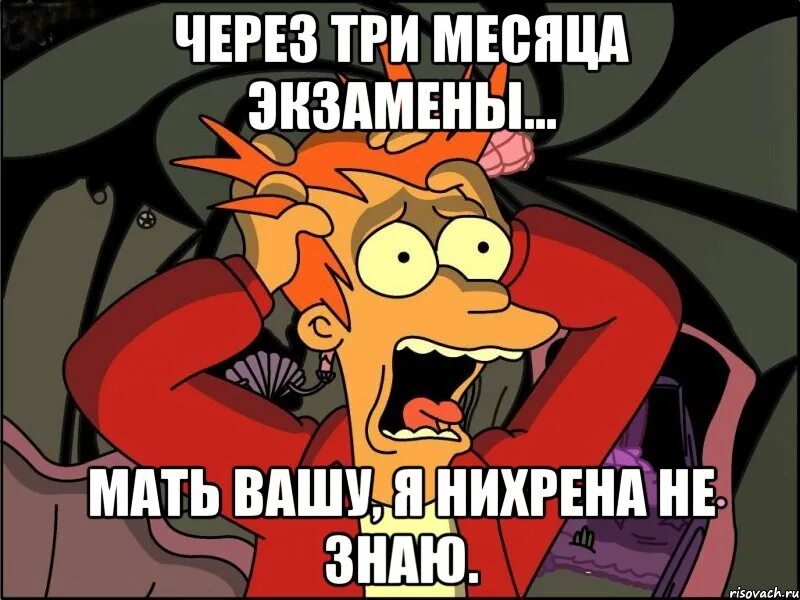 Даже не знаю что выбрать. Я в панике. они не знают мем. фрай в панике. человек в панике мем.