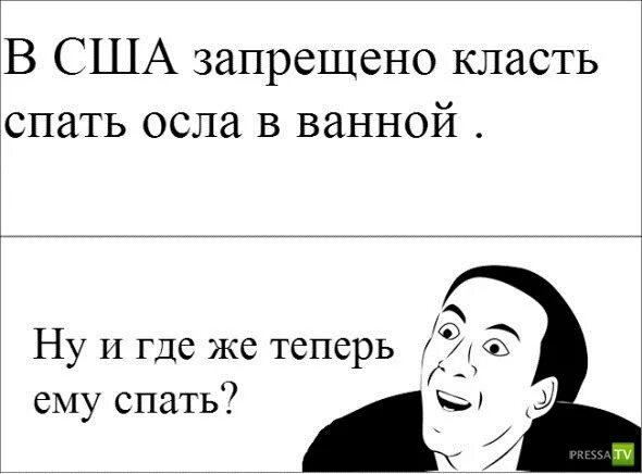 Решила на новый год выучить фразу где я. Не ложите спать. Решила выучить фразу где я на восьми языках. Решила к новому году выучить фразу где я на восьми языках мало. Ложили спать