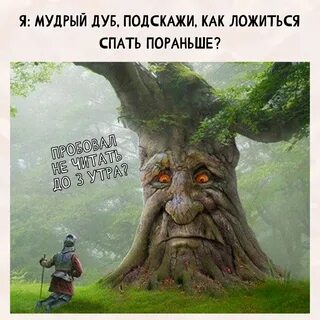 Мудрый дуб на пк