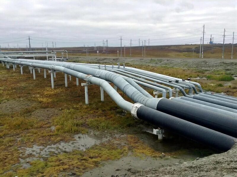 Лупинг магистрального газопровода. Бесканальная прокладка трубопроводов теплосети. Наземный трубопровод. Подземные и надземные газопроводы. Опоры неподвижные надземной прокладки трубопроводов.