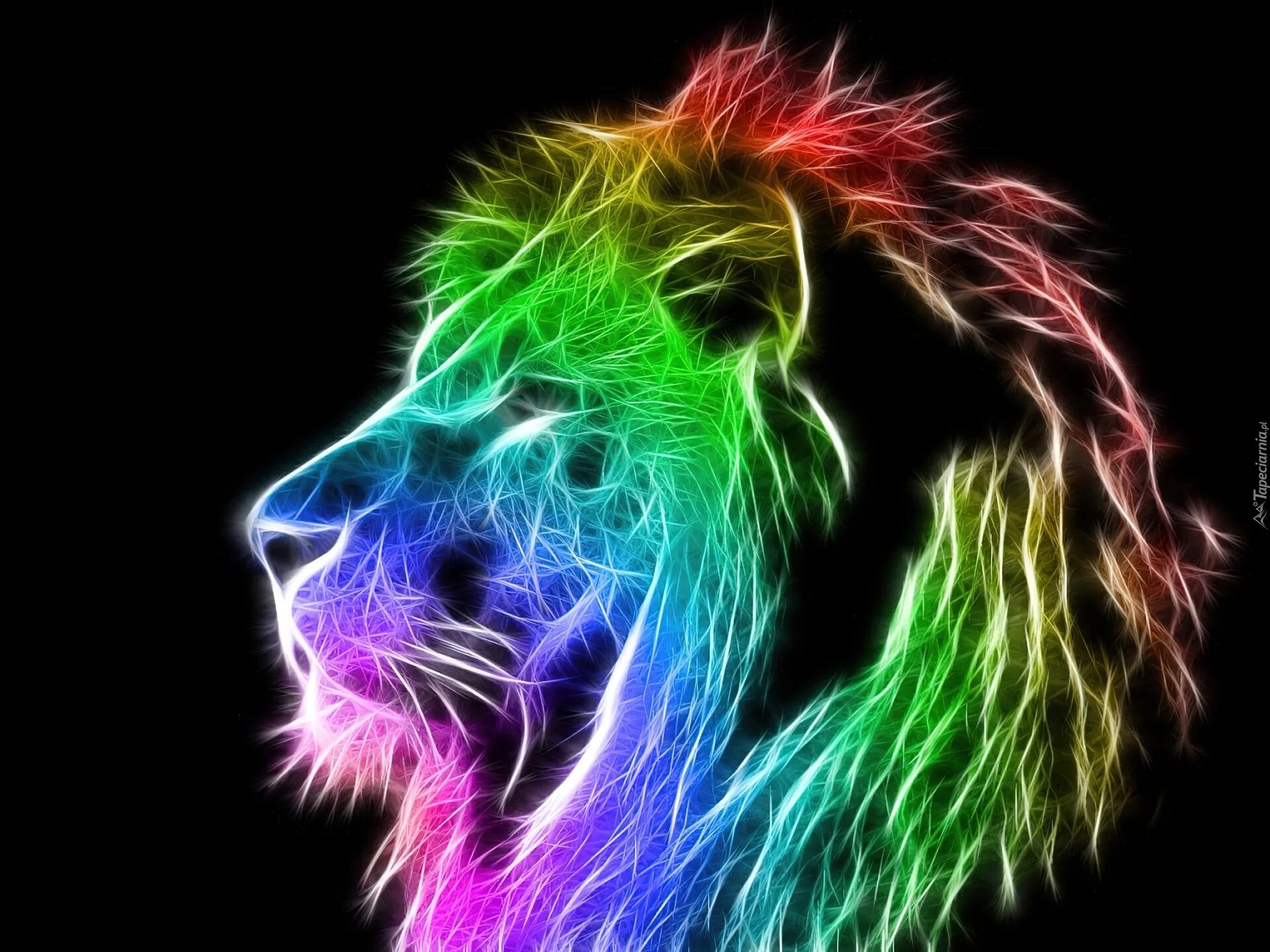 Rainbow animals. Разноцветный Лев. Неоновый Лев. Красивые разноцветные животные. Неоновые звери.