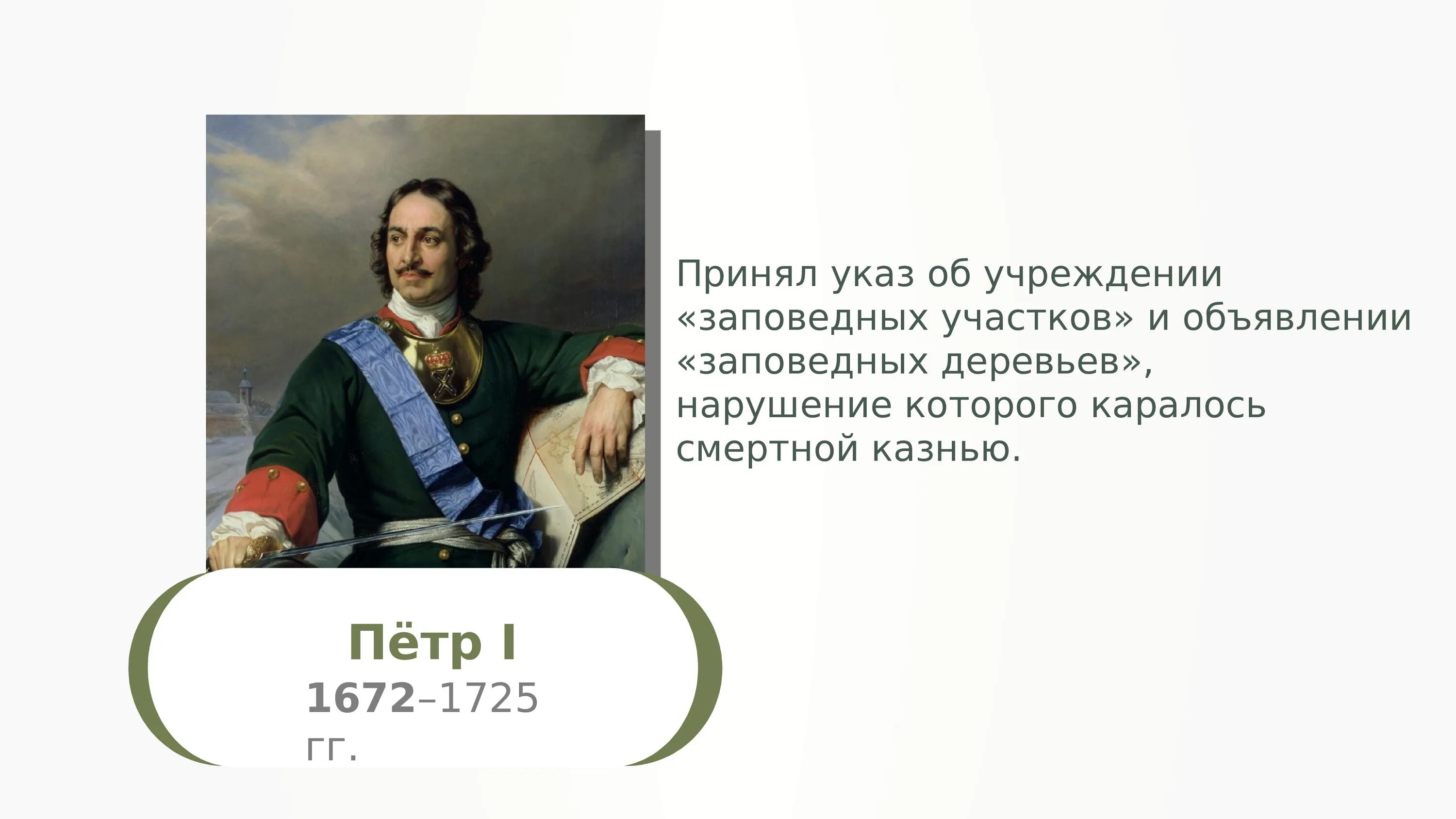 Кто принимает указы. Указ Петра 1 об охране лесов. Указы о лесе Петра 1.