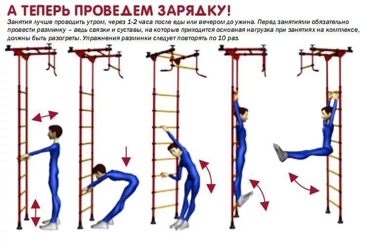 упражнения на скамье для шведской стенки. упражнения на шведской стенке для мужчин. комплекс упражнений на шведской стенке. разминка на шведской стенке. комплекс упражнений на шведской стенке.