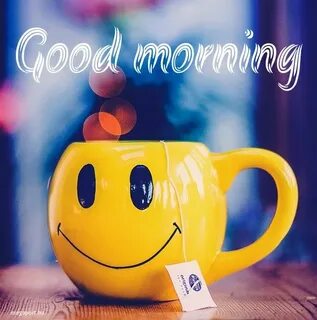 Good morning low