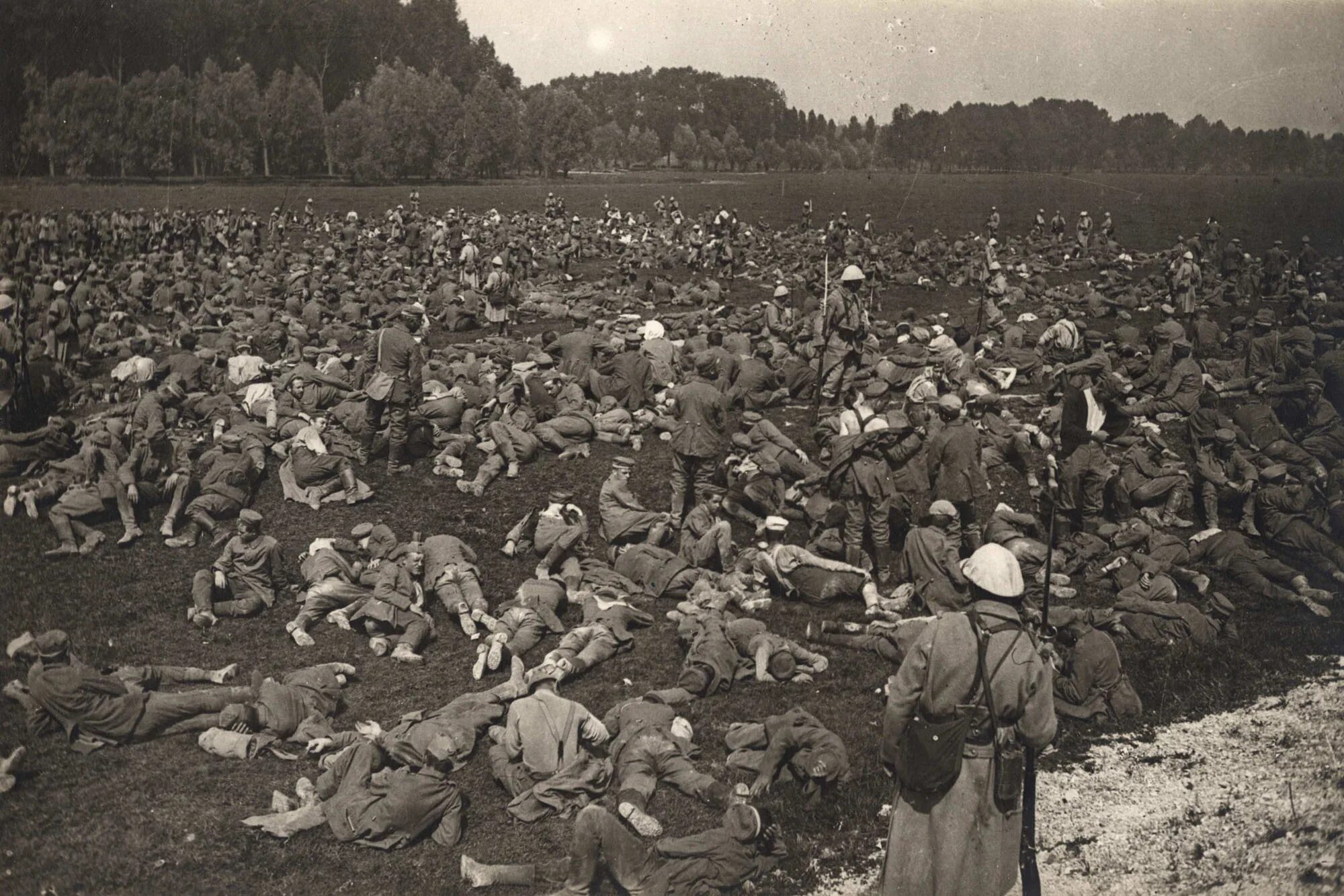 Во время первой мировой войны. Битва при Сомме. Сражение при Сомме.