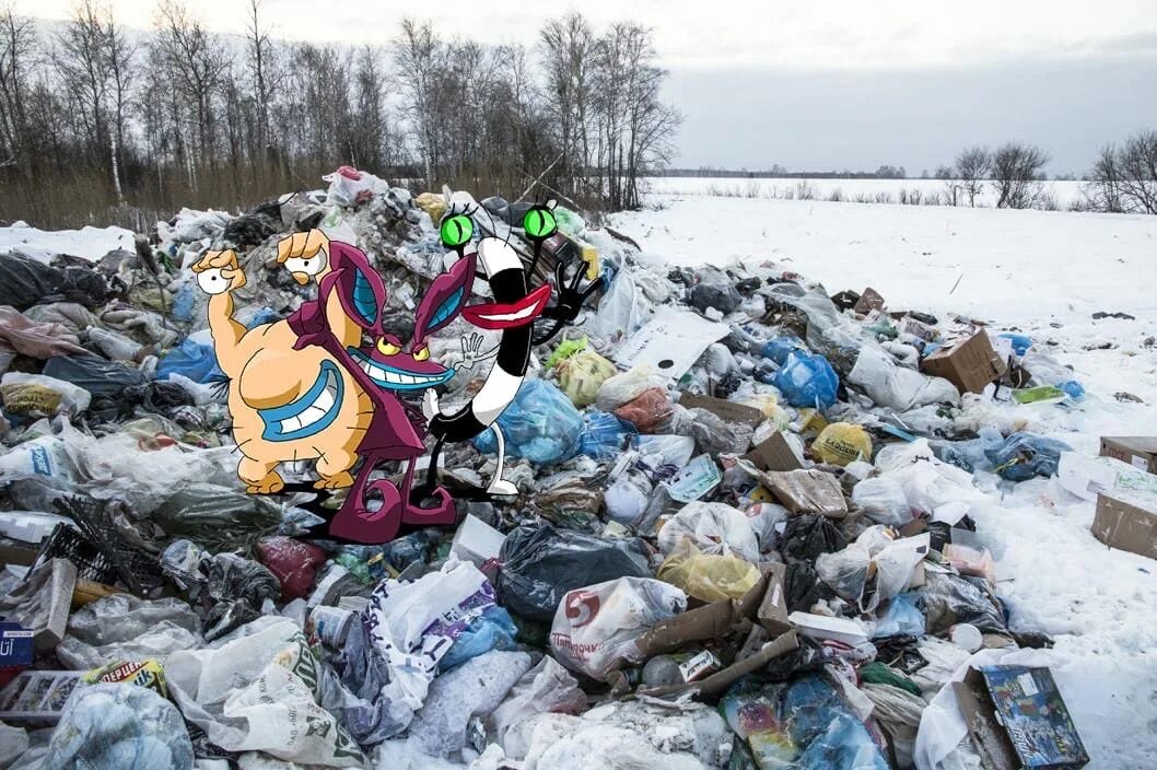 Тко тюмень. Тюменский мусорный полигон. Несанкционированные свалки мусора Тюмень. Полигон Тюменской области.
