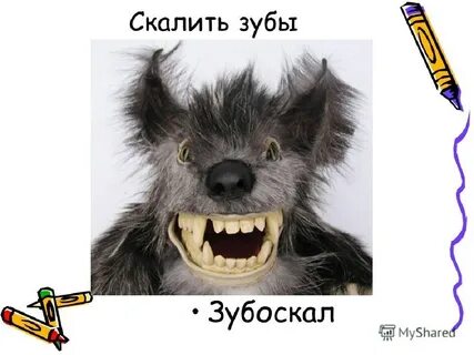 Зубоскал