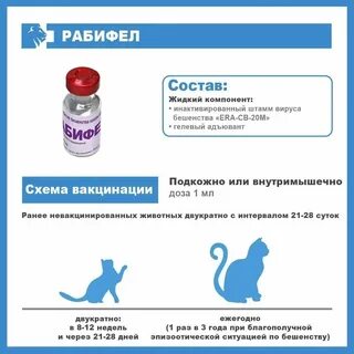 Прививка рабифел