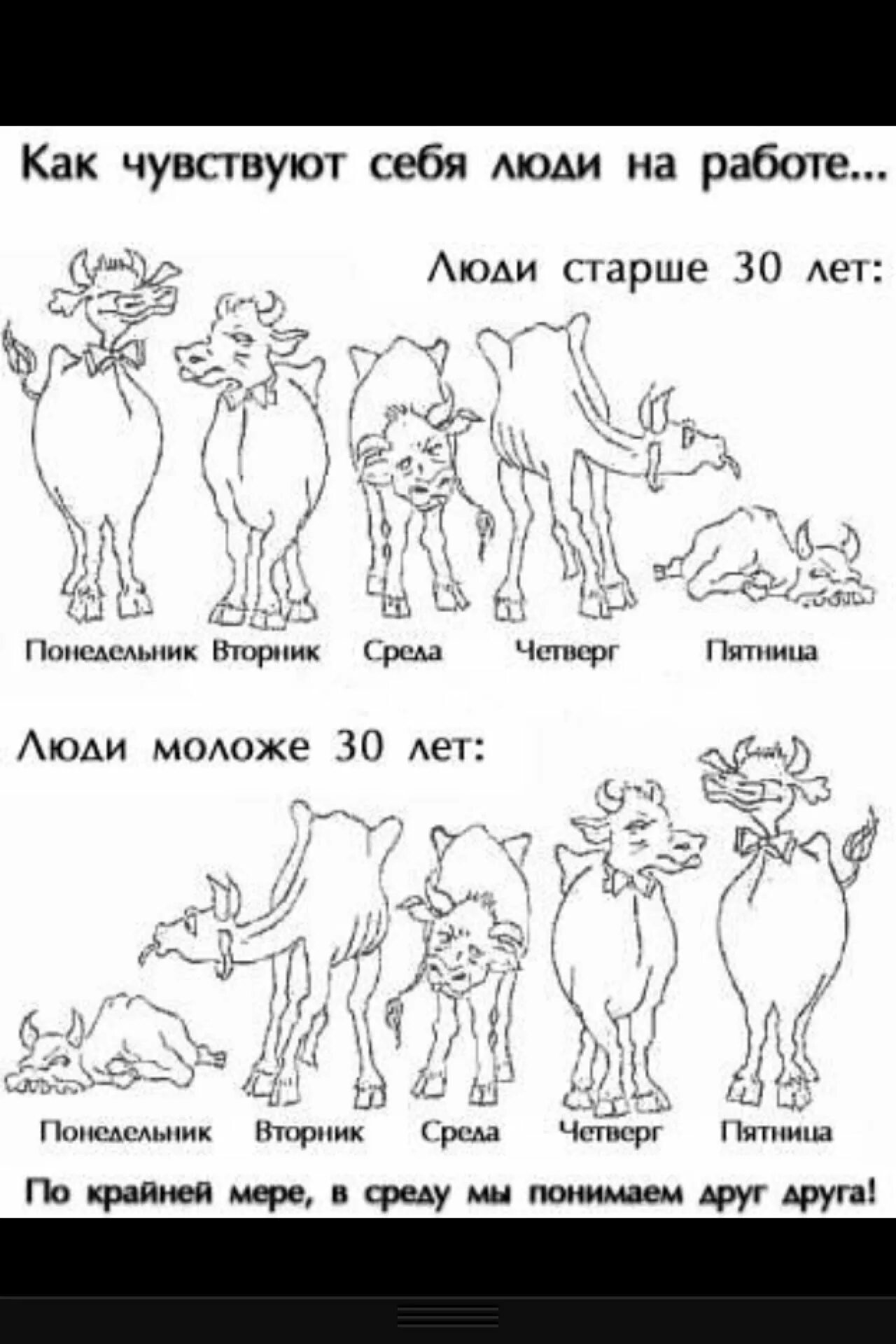 С понедельника по пятницу песня