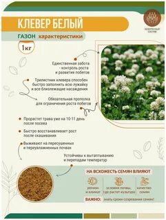 Клевер ползучий таблица