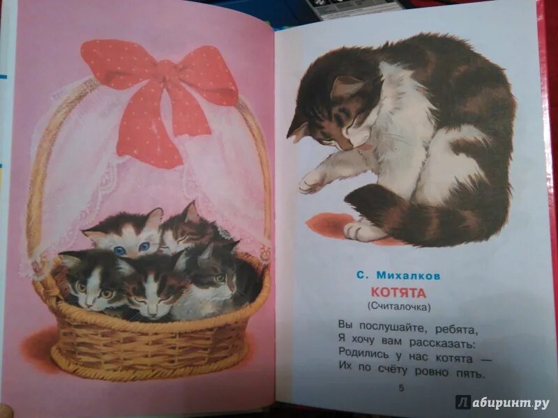 Песня 2 маленьких котенка поссорились. Котята маршак стих. маршак котята иллюстрации. два маленьких котенка стих. маршак 2 кота.