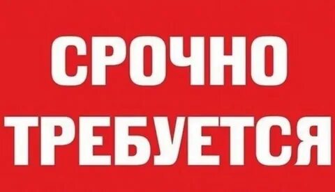 Энергичной попаданке требуется работа
