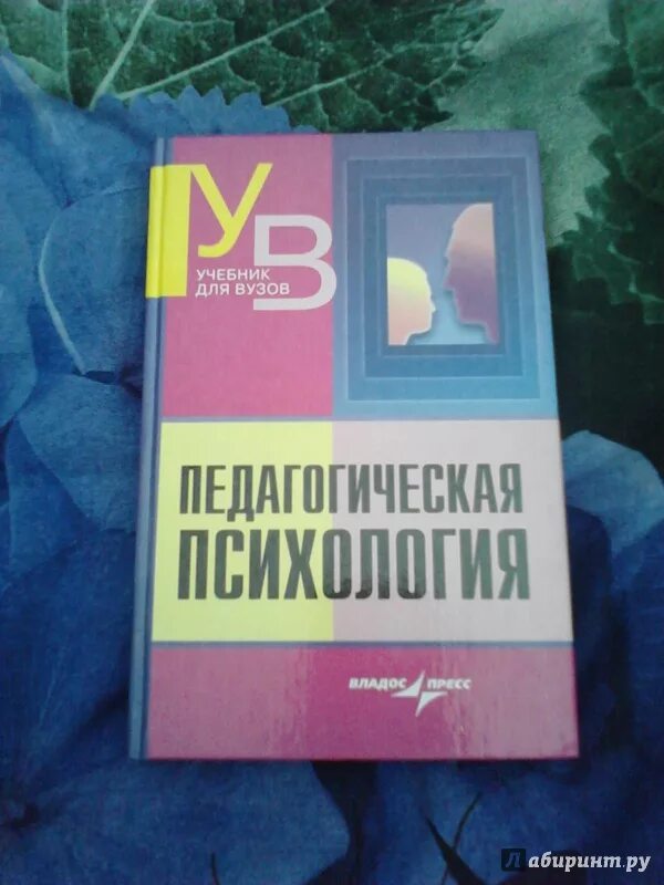 Пособие по психологии для вузов. Учебники в университете. Учебники для вузов. Учебное пособие для студентов вузов. Педагогическая психология учебник для вузов.