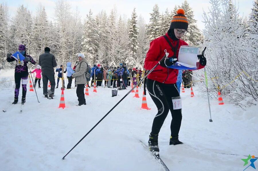 Зимнее спортивное ориентирование. Ориентирование на лыжах. Зимнее ориентирование на лыжах. Спортивное ориентирование зимой.