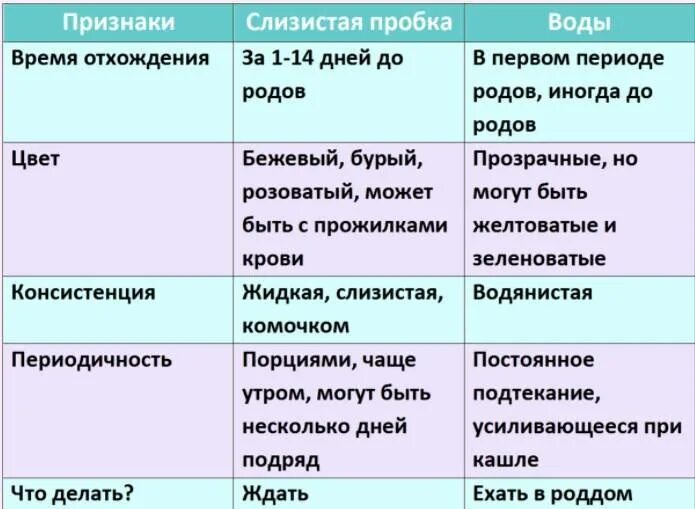 Через сколько родили после отхождения пробки