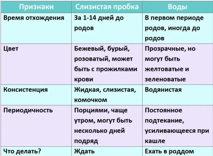 Через сколько рожают после отхождения пробки