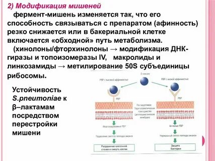 Модификация овчаровой