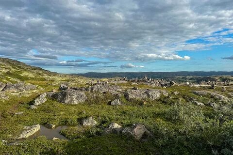 Кольский летом