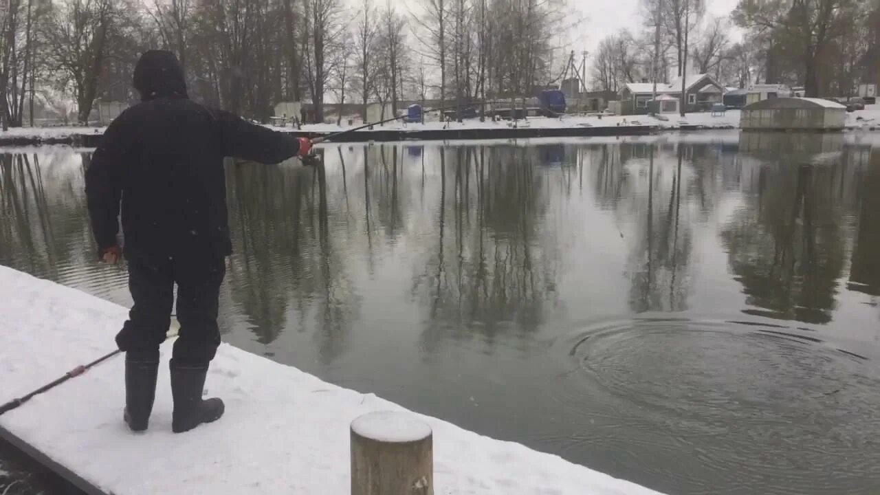 Рыбалка в дмитровском. "Рыбалка в Ольгово", Дмитровское шоссе, д.Ольгово. Рыбалка в Савельево 3. Платная рыбалка Савельево. Пруд Ольгово.