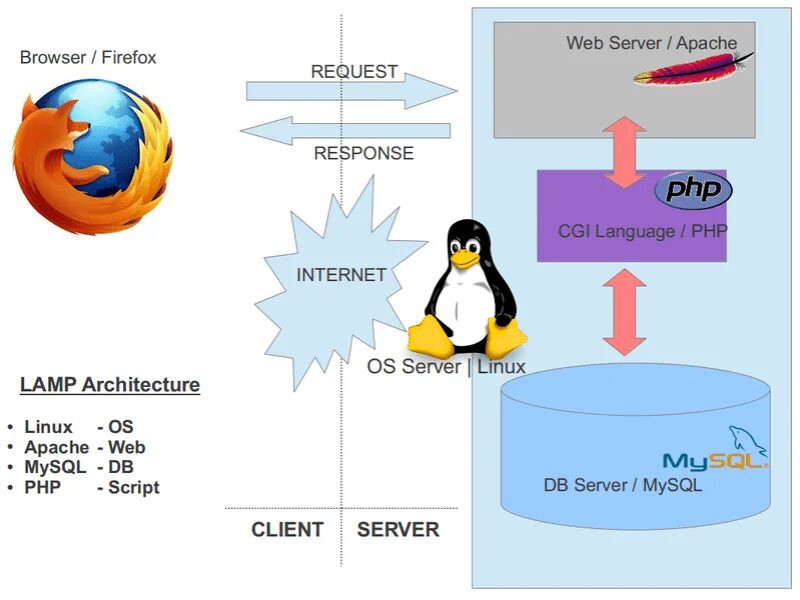 Скрипт на muscle. Php веб сервер. Apache веб сервер. Apache php MYSQL. Web-сервер cgi.