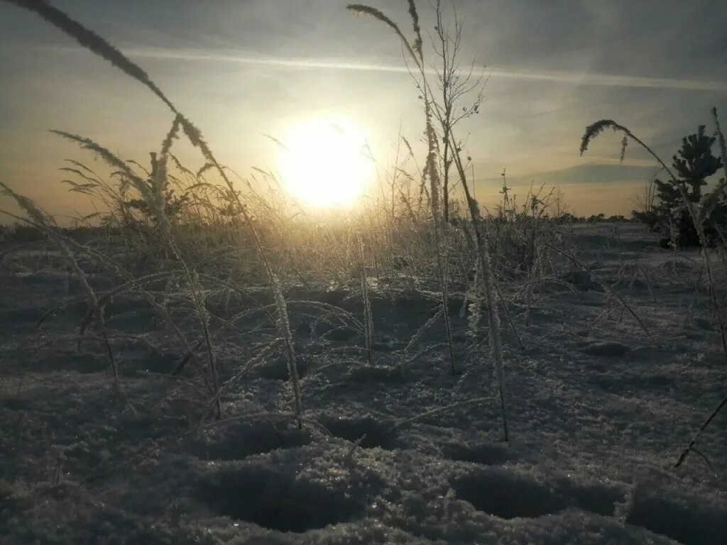 Солнце севера текст. Солнце на севере. Северное солнце. Солнце на севере огромное. Солнышко Север.